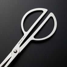 Serving Tongs (25cm / 9.8in)