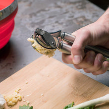 Moda Stainless Steel Garlic Press with Auto Scraping Bar