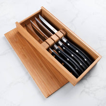 Classic Steak Knives Set of 4 with Riveted Plastic Handle