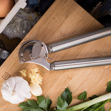 Moda Stainless Steel Garlic Press with Auto Scraping Bar
