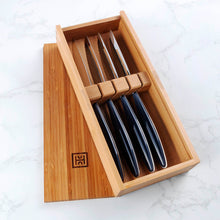 Modern Steak Knives Set of 4 with Bi-Coloured Handle